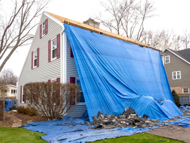 Best Carpet Removal and Disposal  in Dubois, PA